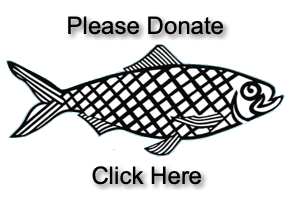 Donate with PayPal button