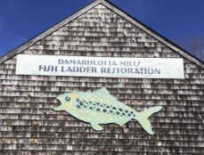 Click Here to Donate