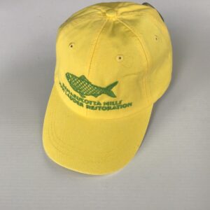 Hat 3